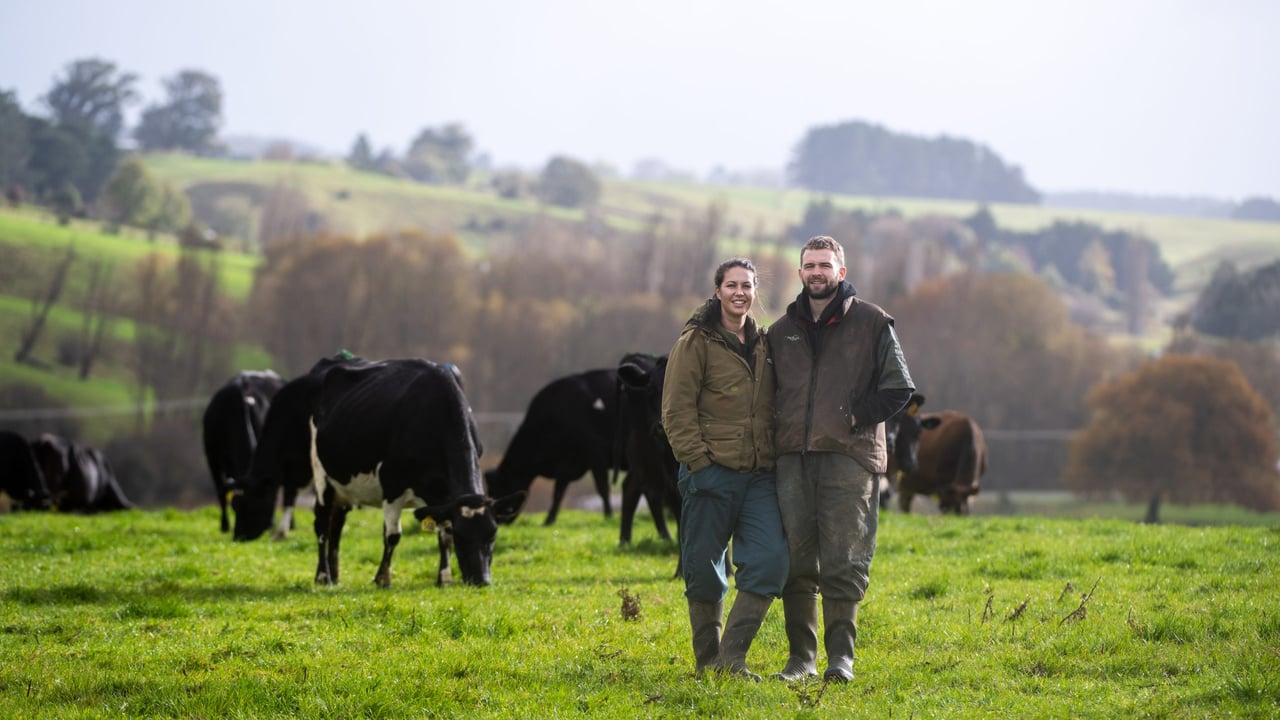 Will Hinton and Kali Rangiawhia contract farm 350 cows on the farm near Fielding in the North Island, New Zealand