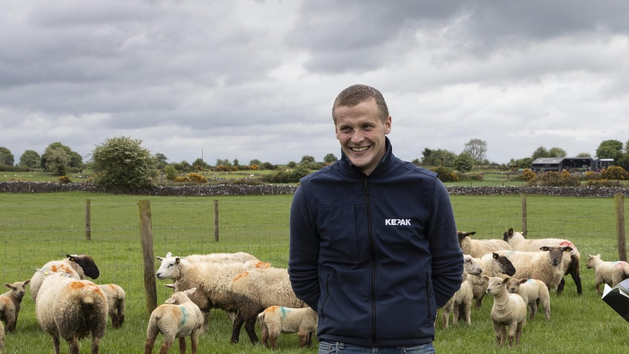 David Mannion, livestock procurement manager, Kepak. Credit: Damien Eagers Photography
