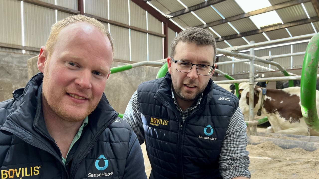 David McCarragher and John Graham, Technical and Customer Success Specialist at MSD Animal Health