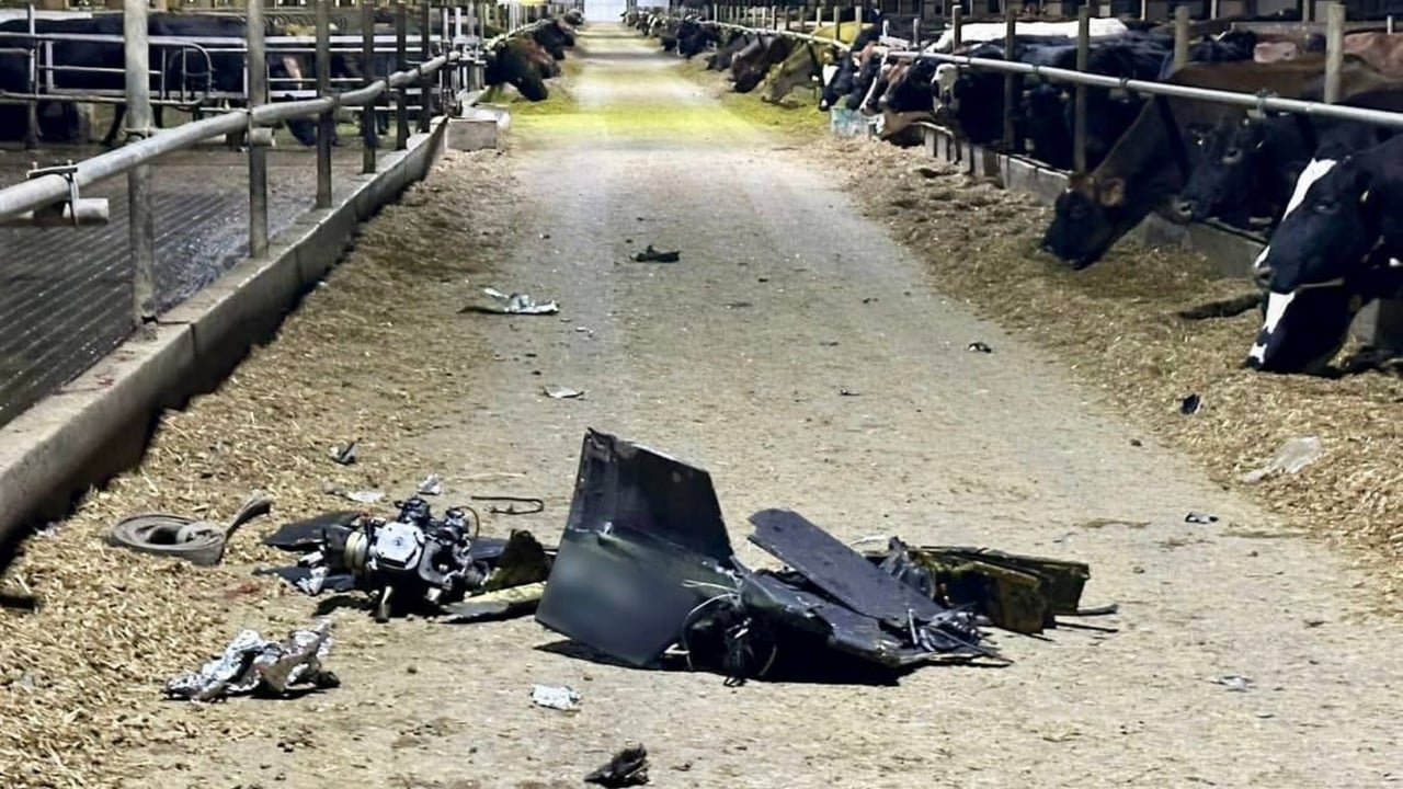 Dairy farms on the front line in Ukraine continue to be affected by the Russians who target them and power supplies