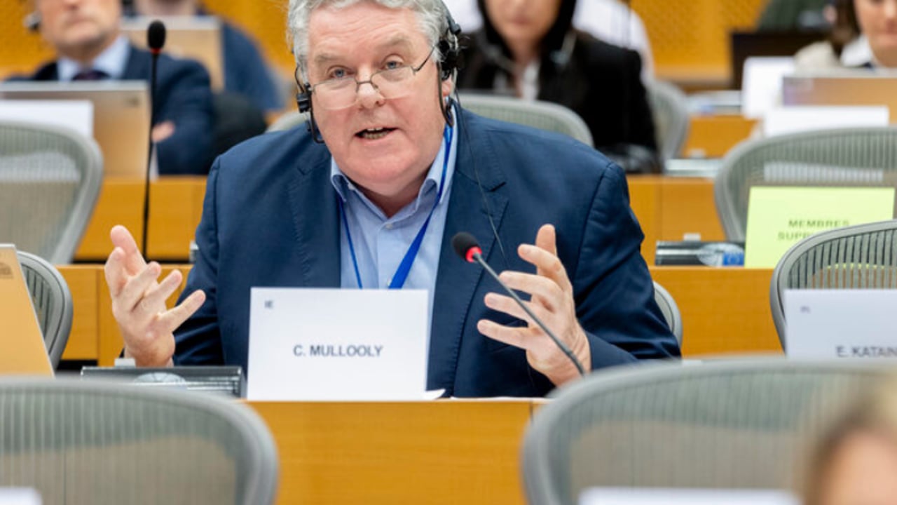 MEP Ciaran Mullooly