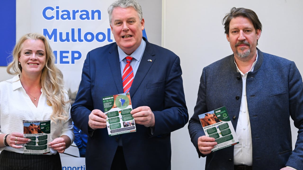 Ciaran Mullooly MEP (centre) with Jessika van Leeuwen MEP and Thomas Waitz MEP Source: @ciaranmullooly