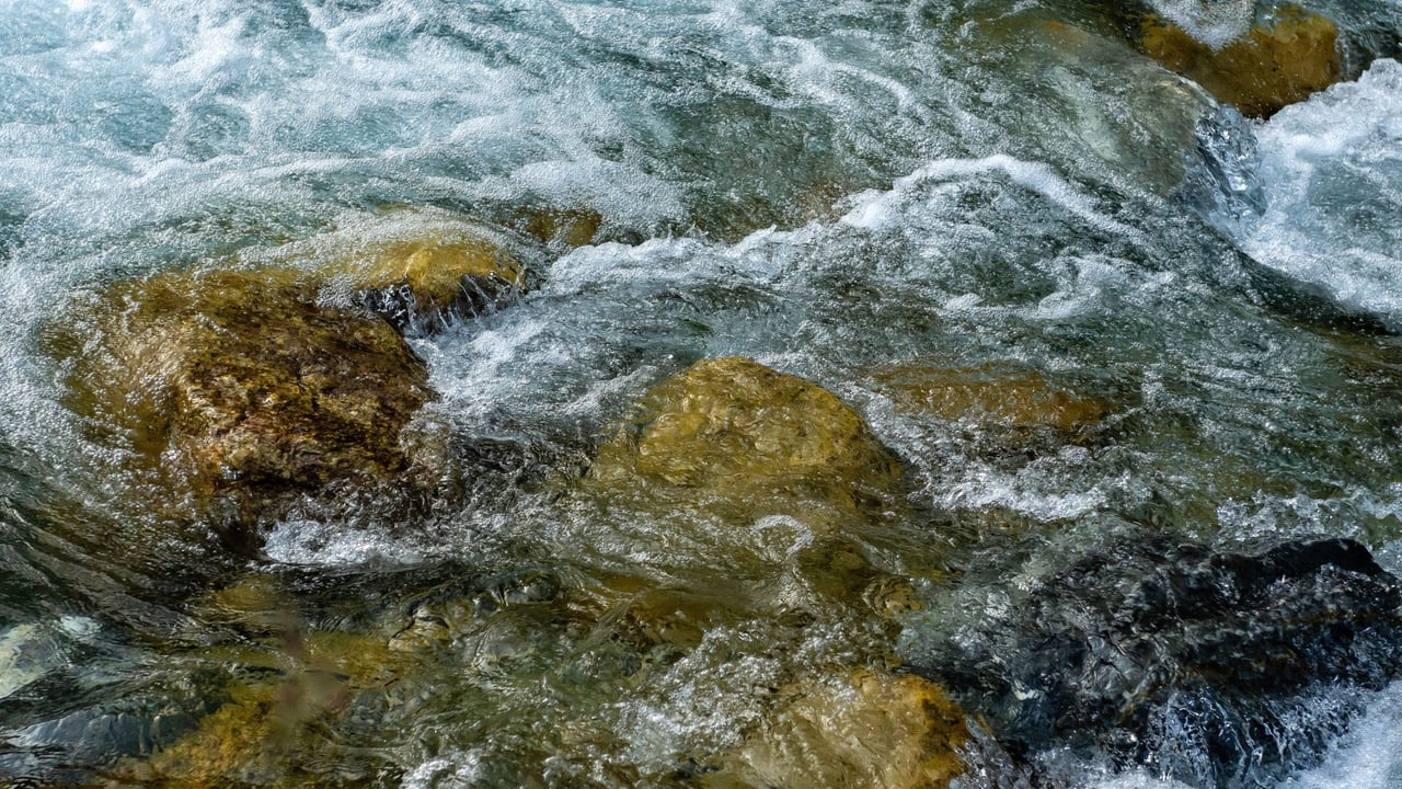 NI farmers urged to help  protect water quality