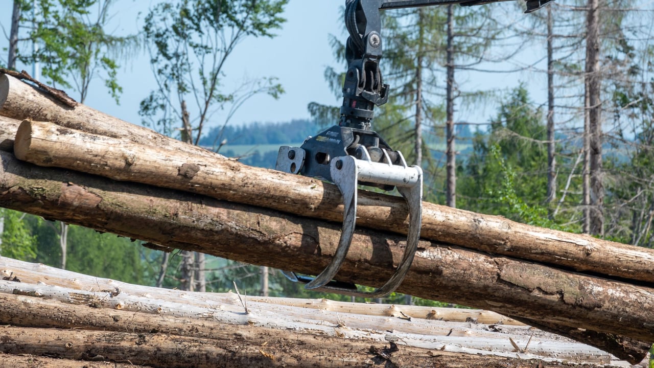 Forestry contractors call for 'fair and transparent' payment system