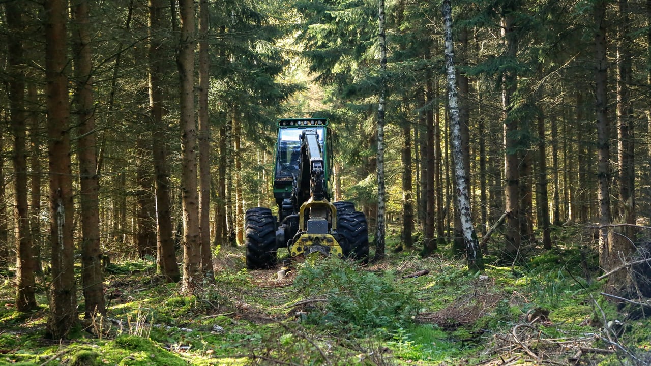 FCI calls for ban on import of European forestry machines