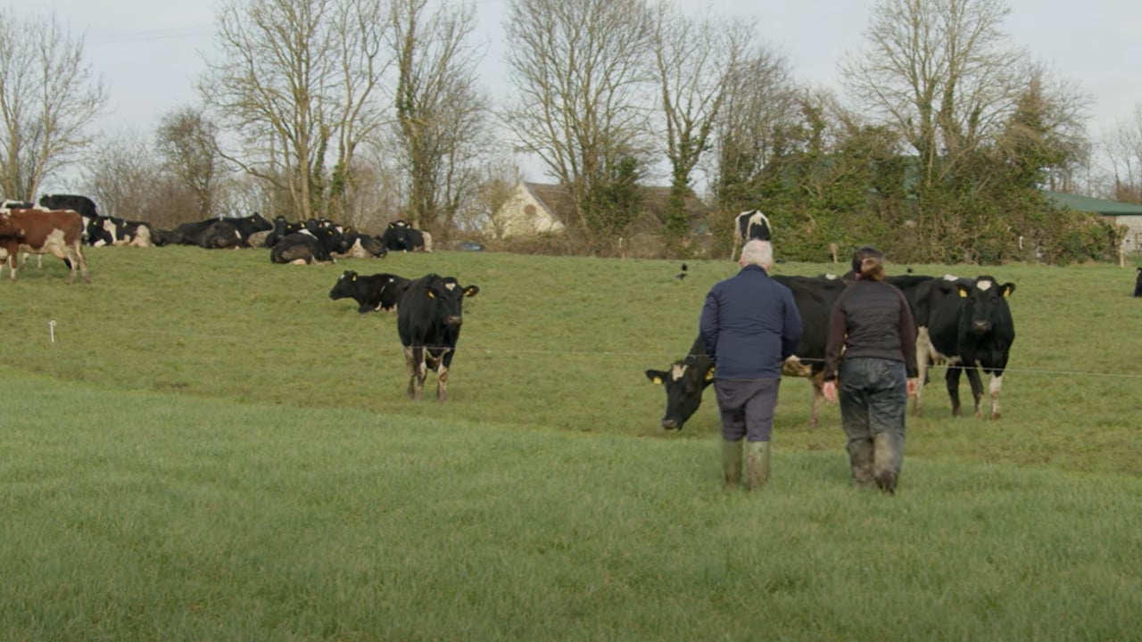 Increasing milk solids by over 100kg/cow in a few years
