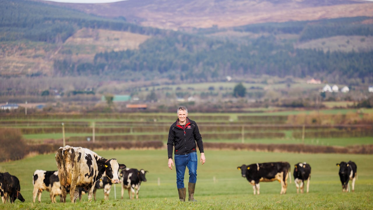 Optimising grazing in Co. Tipperary with a robotic milking system