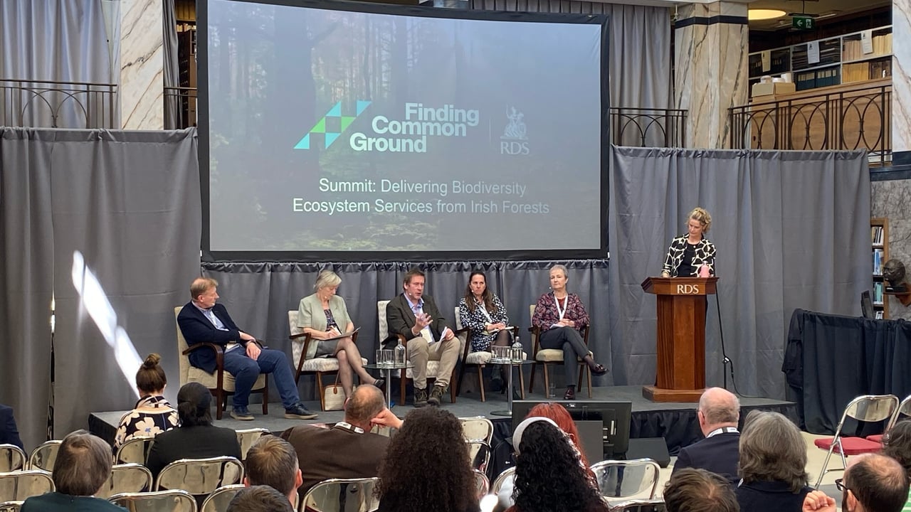 One of the panels at the Finding Common Ground festival at the RDS on forestry