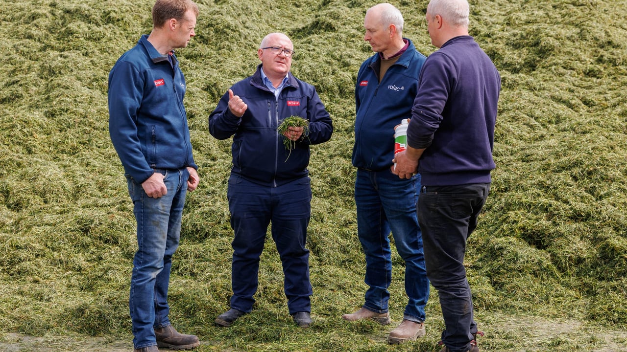 Liam Gannon (Volac) discusses the benefits of Ecosyl additive with farmers Leslie and Sam Caldbeck and contractor William Corrigan. Image source: Volac International Ltd