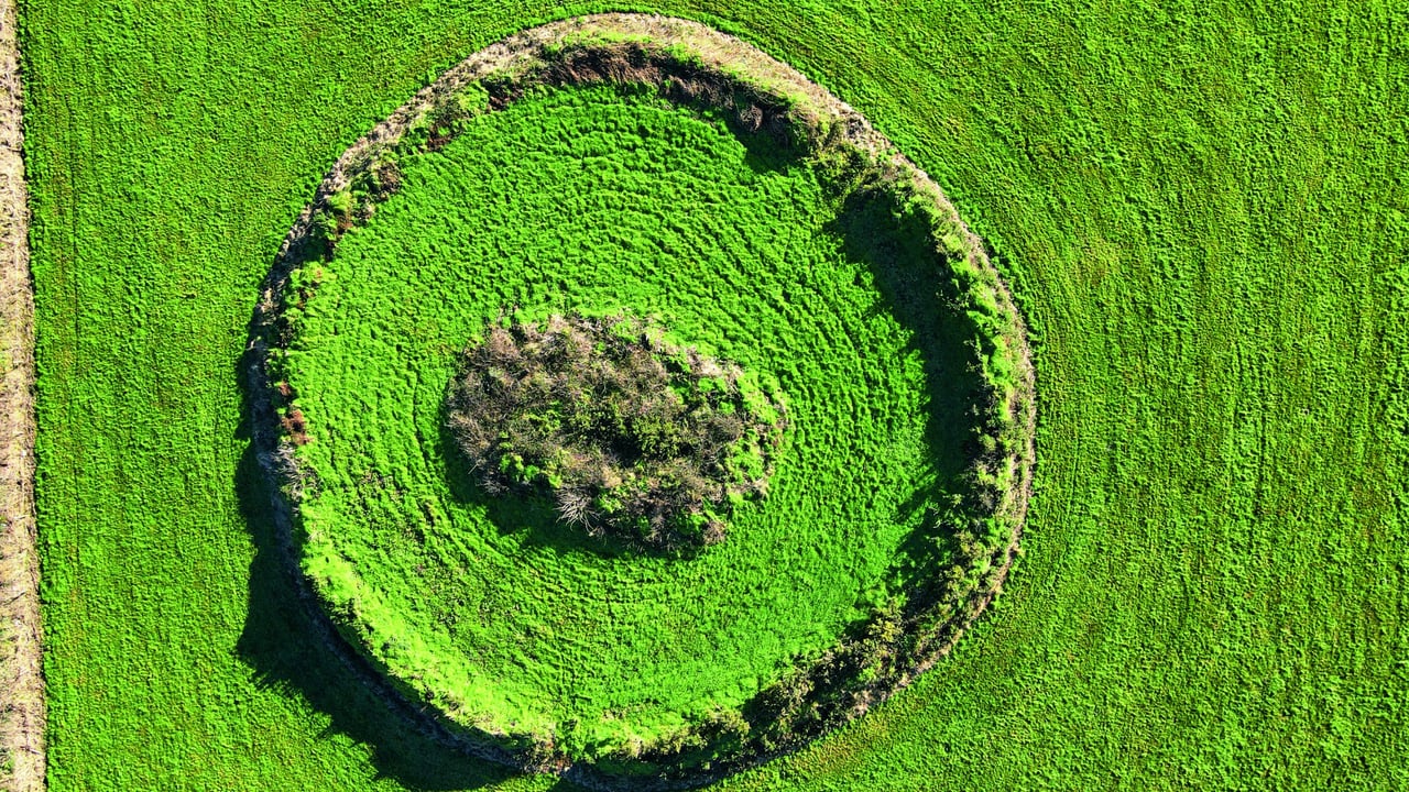 A perfectly circular fairy fort. Photographed by Richard Mills