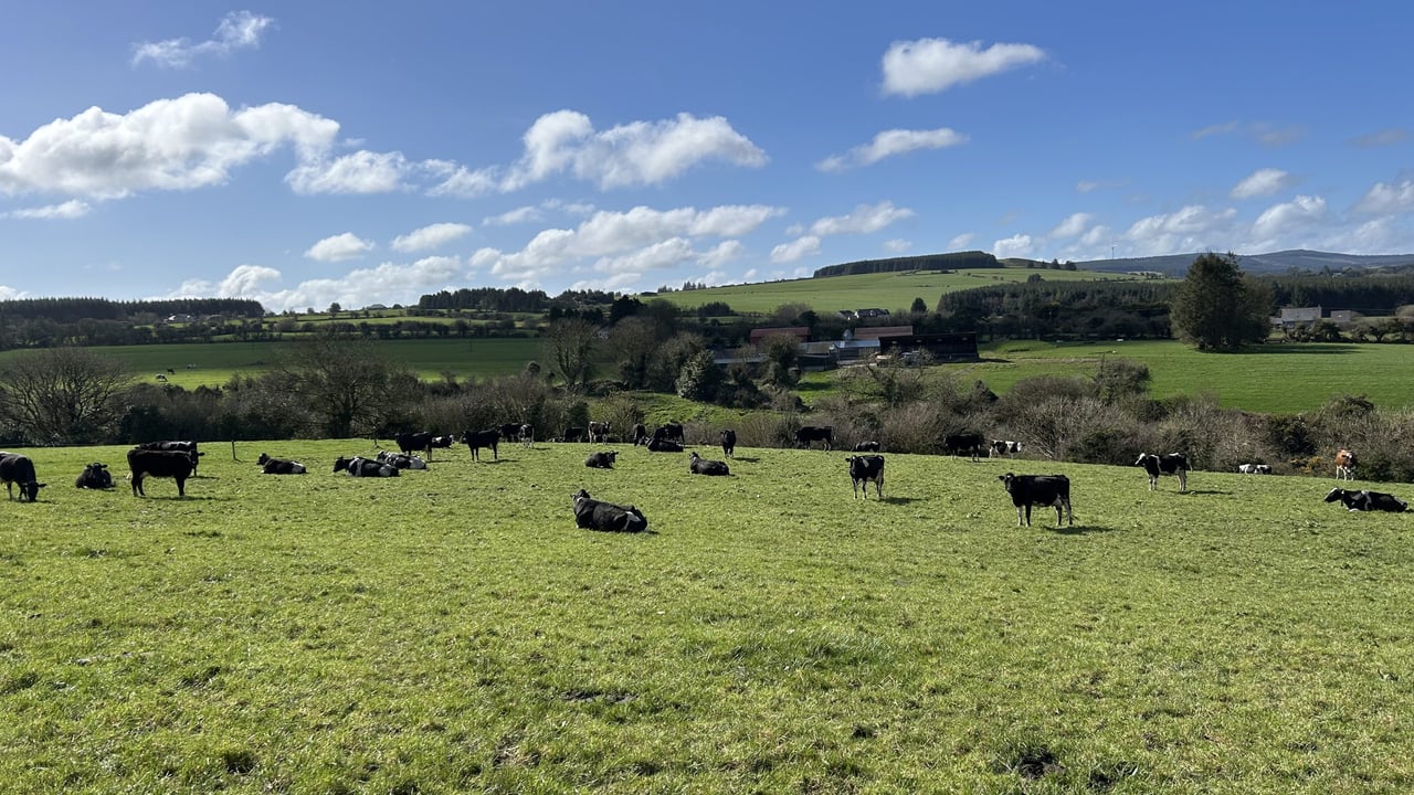 River Blackwater Catchment Series: Nutrient balance driving profit