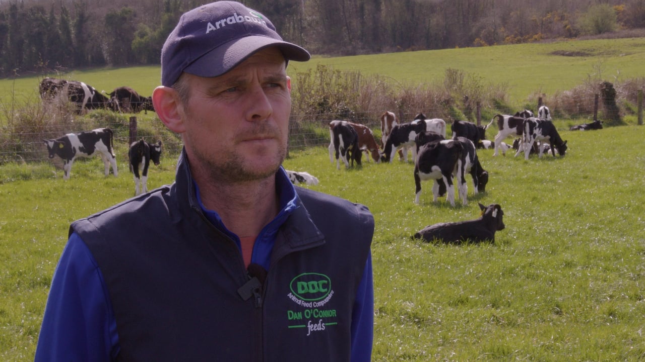 Eoin Doorley on his farm in Carrig, Birr,  Co. Tipperary. Image source: Dovea Genetics