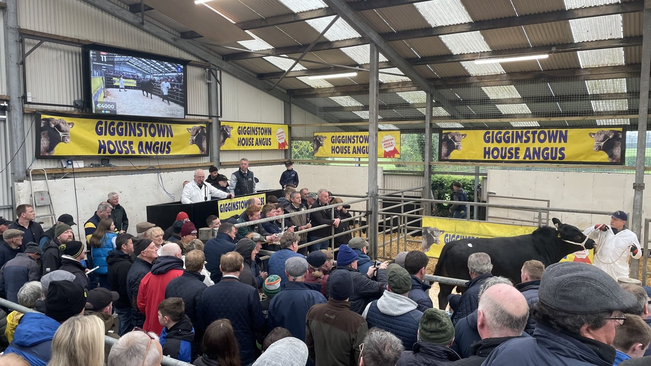 Large crowds were in attendance at this year's sale 
