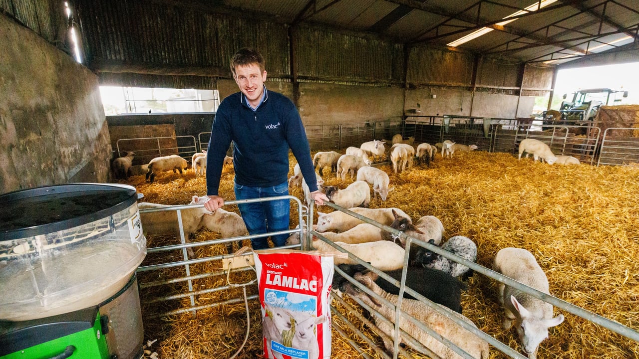 Tomas O'Reilly of Volac Milk Replacers Ireland Ltd, pictured on the Brabazon farm.