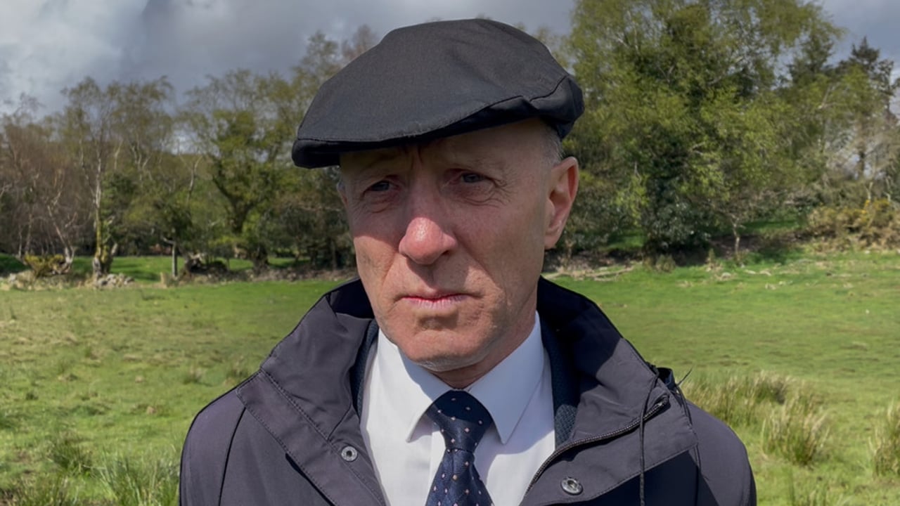 Minister of State at DAFM Michael Healy-Rae