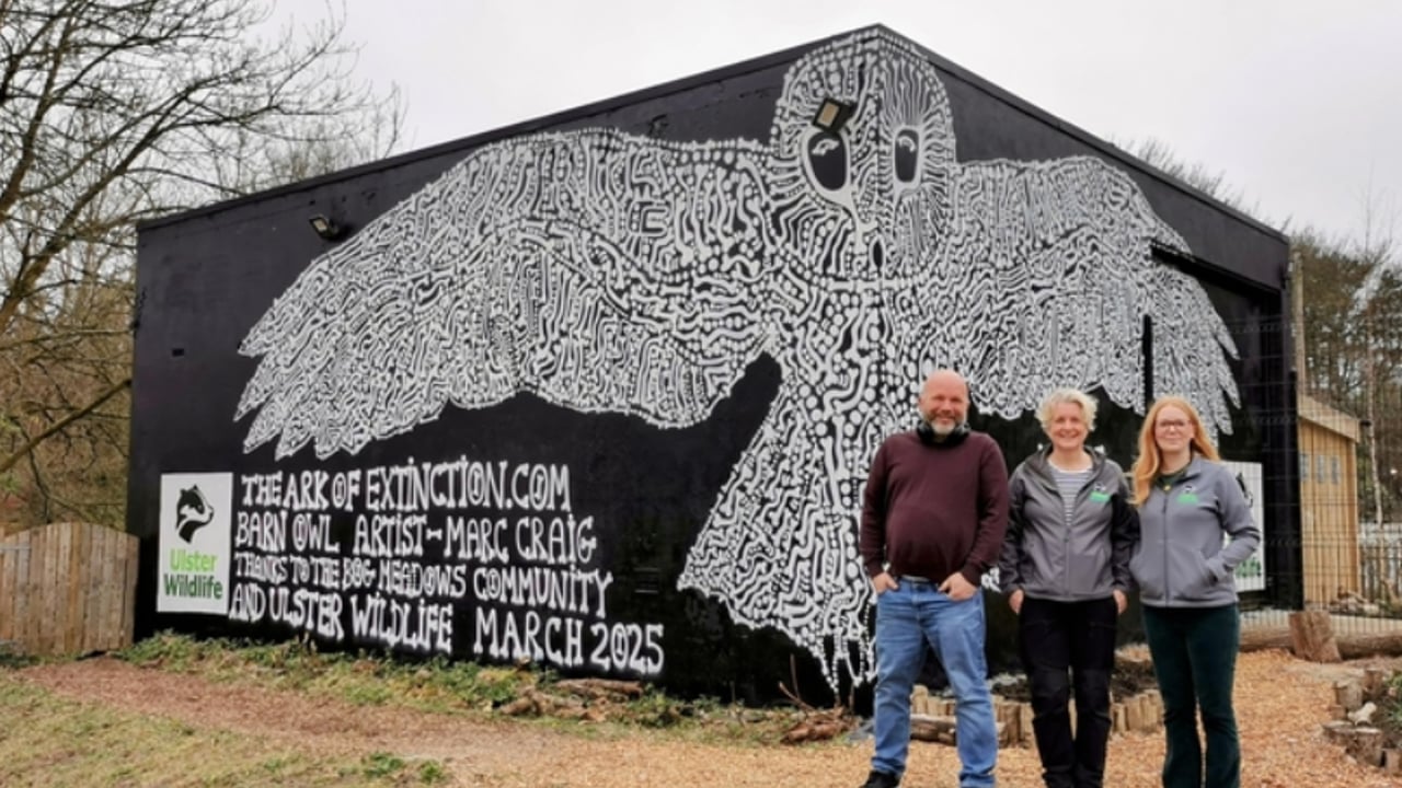 (L-R) Artist Marc Craig with Dawn Patterson and Katy Bell from Ulster Wildlife