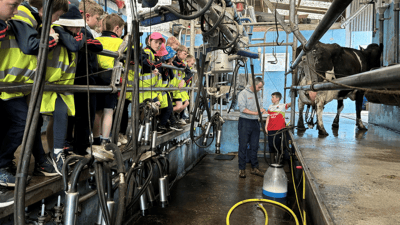 Students got the opportunity to see a cow being milked on Dairygold supplier Michael Ryan’s farm just outside Cashel in Co. Tipperary