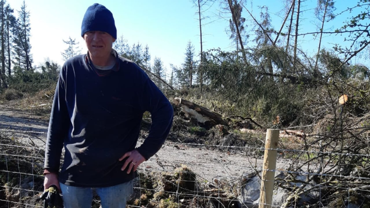 Farmer Aidan Mullins pictured with new fencing. Image source: Aidan Mullins