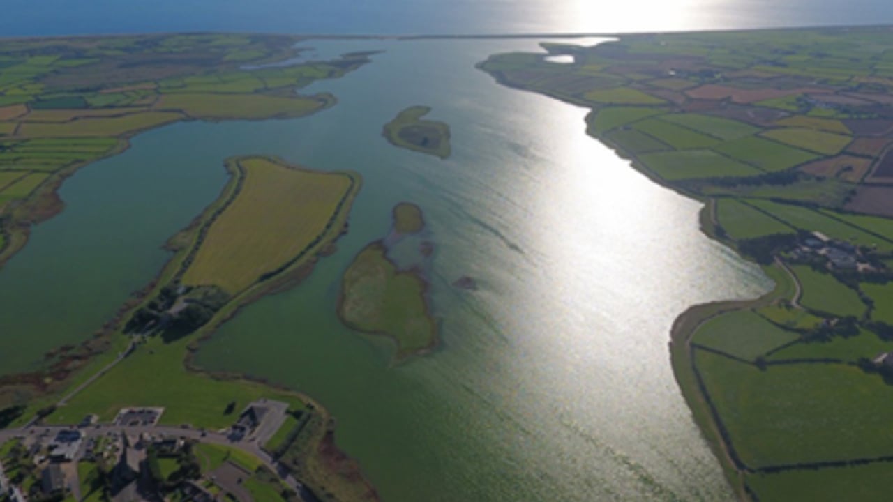 Wexford's Lady's Island Lake 'severely damaged' by excess nutrients