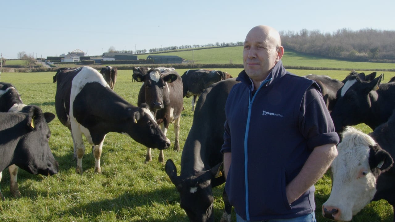 Victor Austin on his Cloughjordan, Co. Tipperary farm. Image: Dovea Genetics