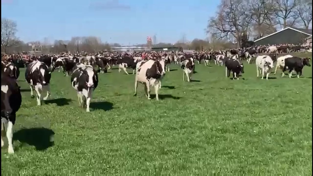 Source: Timo van Vilsteren