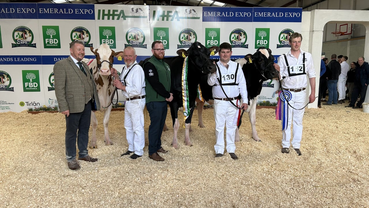 Emerald Expo Supreme Champion Sponsored by FBD Champion: Coolroehouse Abbott Ann - Paul Murphy Reserve: Slatabogie Doral All Rich Red - Alan & Leanne Paul Honorable Mention: Damm Impression Beth - G&D Simpson