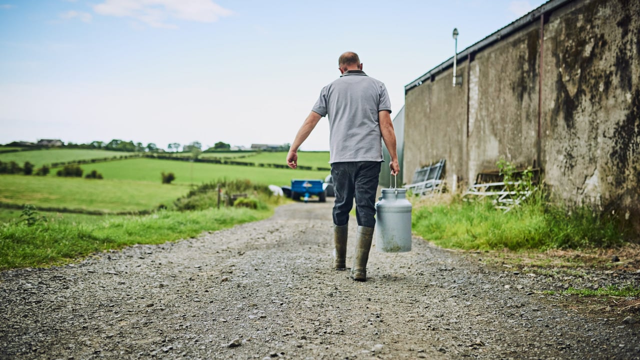 New action plan to target high level of farm deaths