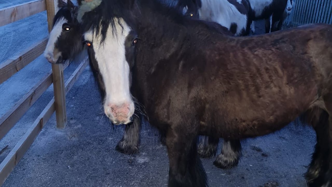 Source:  An Garda Síochána Tipperary 
