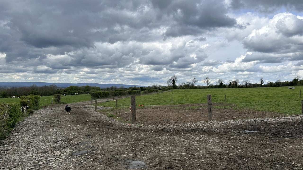 Roadways and surfaces need to be maintained ahead of breeding