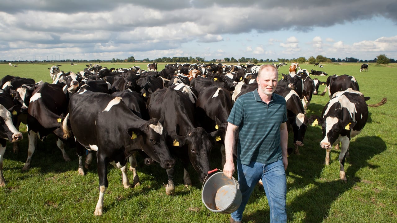 Focus: German dairy farm staying connected to consumers