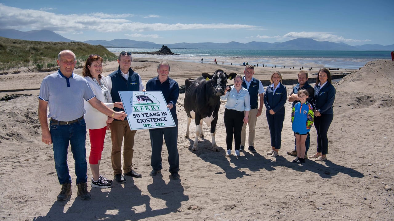 Kerry Holstein Friesian Breeders Club launches herds competition