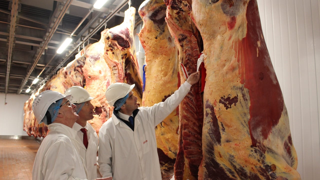 (l-r) Danny Houlihan, CEO Ashbourne Meats; Angus Woods, IFA Livestock chair; Joe Healy IFA president. Source: Ashbourne Meats