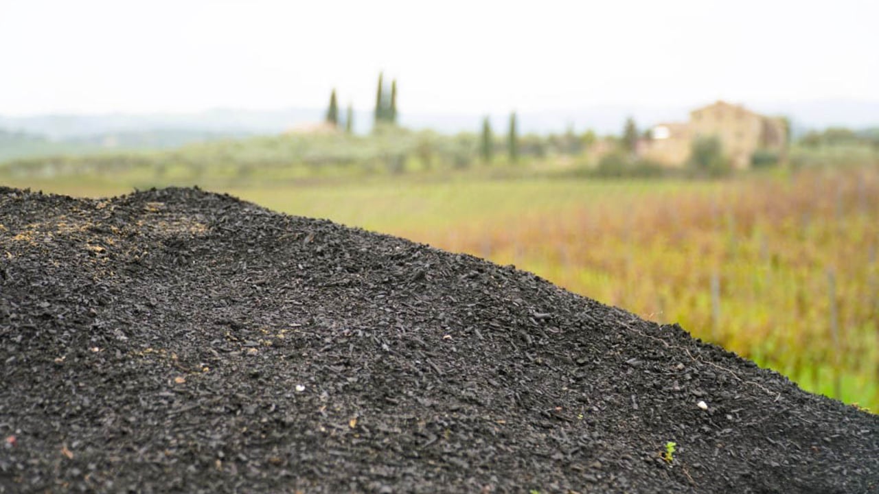 Image source: International Biochar Initiative 