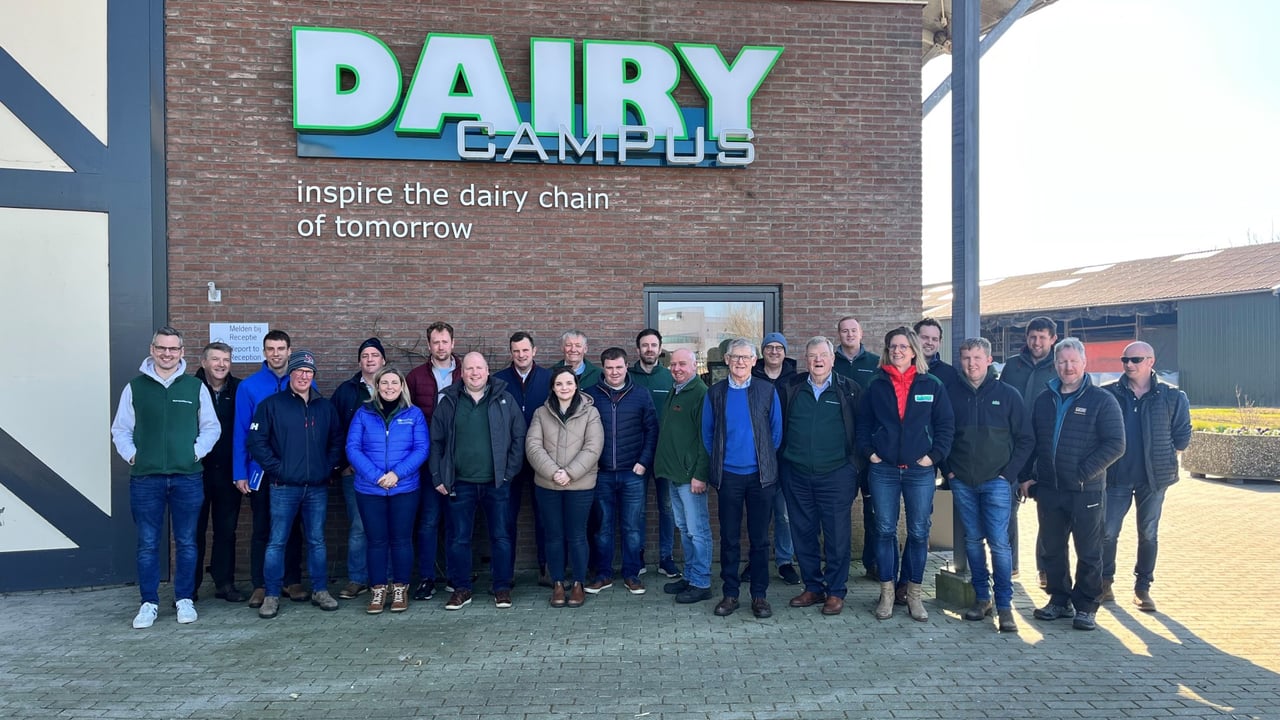 20 NI farmers visit The Netherlands to explore innovations