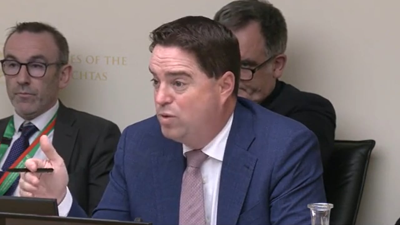 Minister for Agriculture, Food and the Marine Martin Heydon. Source: Oireachtas TV