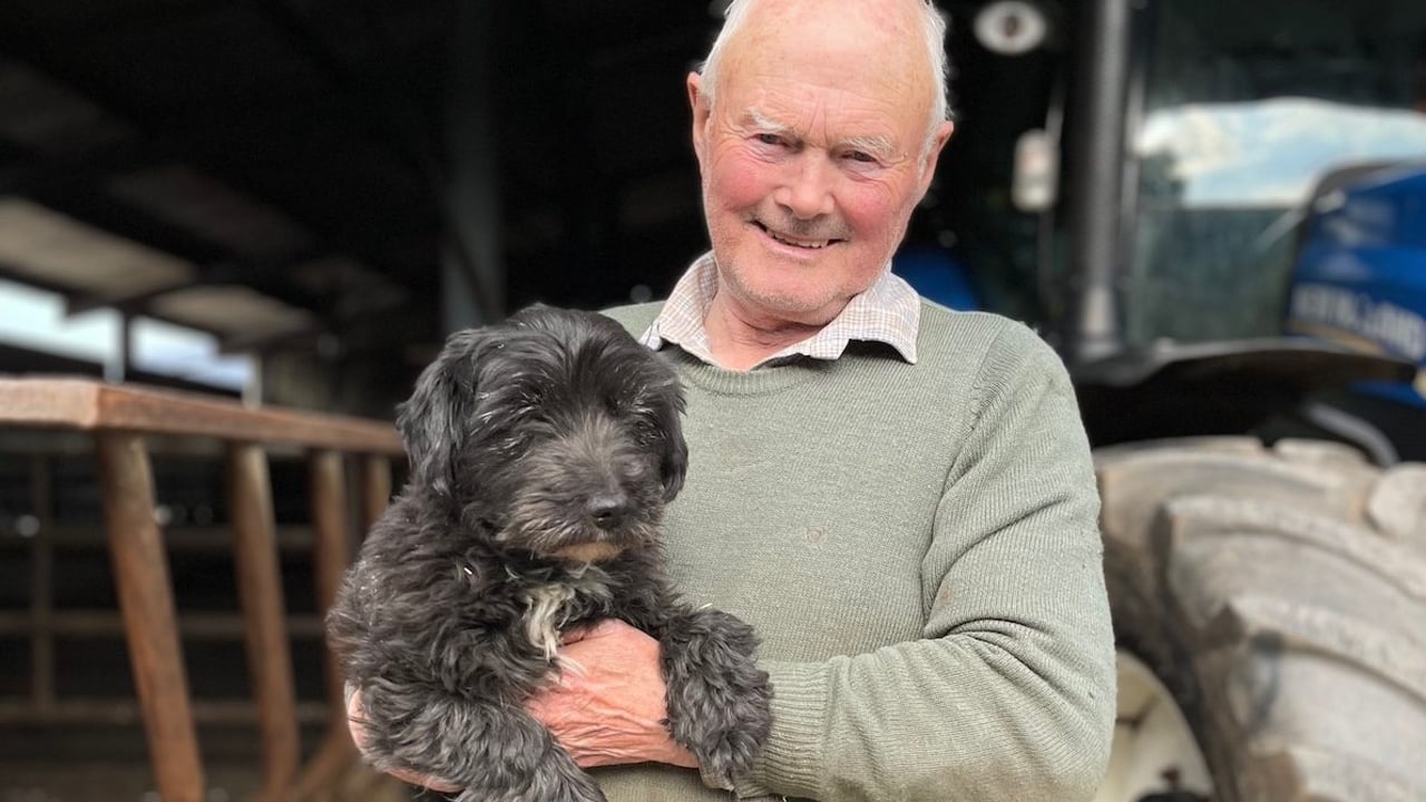 Reunited: Des Cantlon with Minnie.