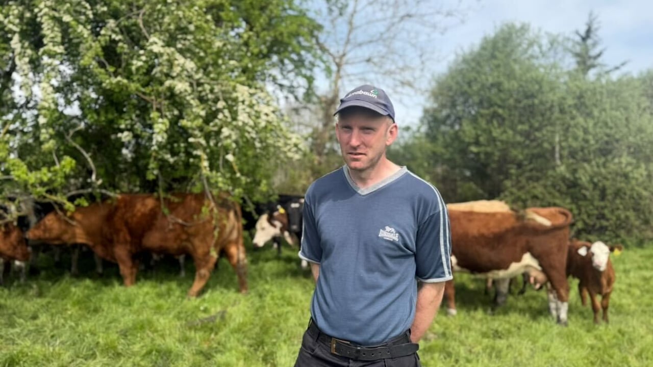 Suckler farmer Donal Canniffe on his Co. Galway farm. Source: Herdwatch