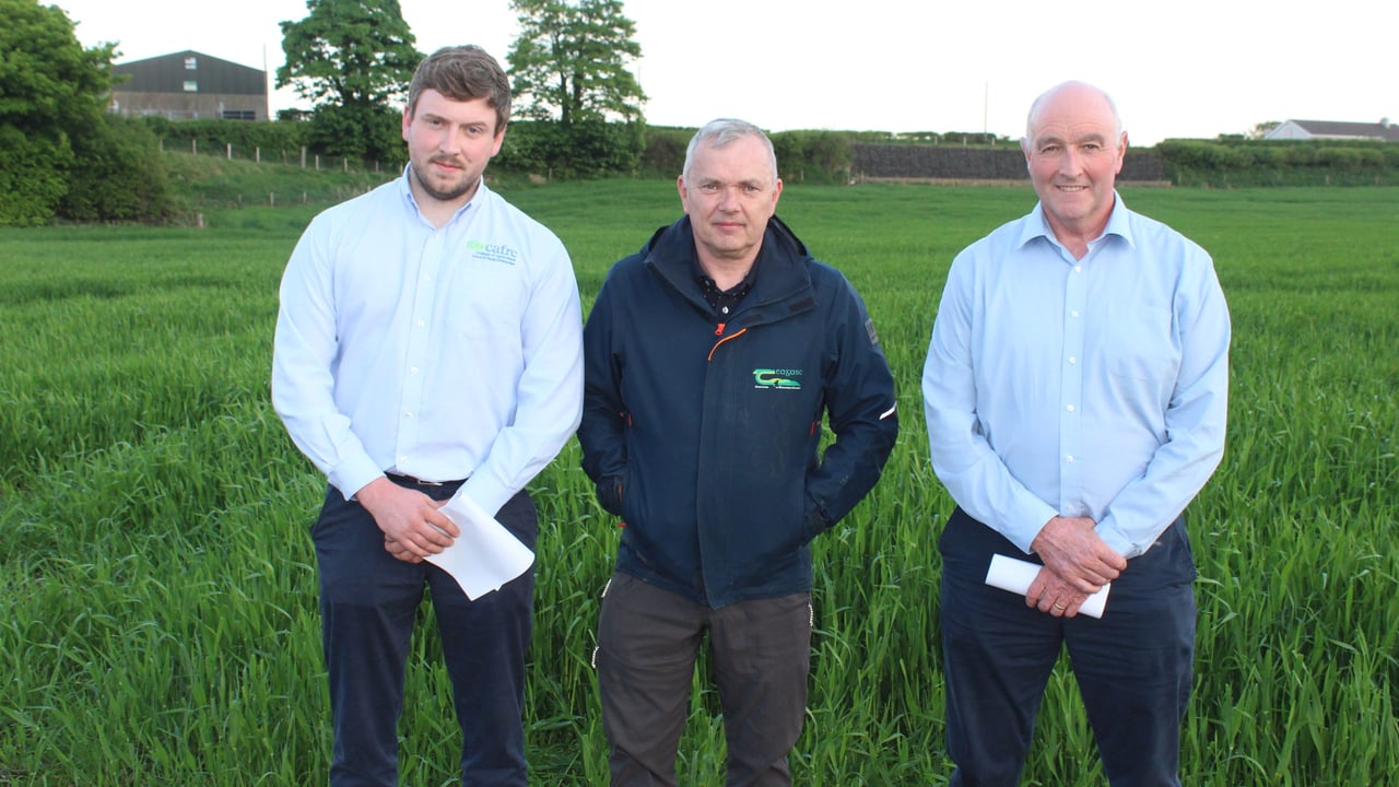 Attending the recent Limavady crops' walk: Teagasc's Shay Phelan (centre) with CAFRE's Robin Bolton (right) and Joe Casey 