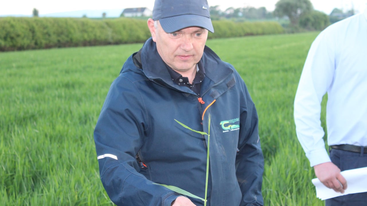 Tillage: Priorities for May Bank Holiday