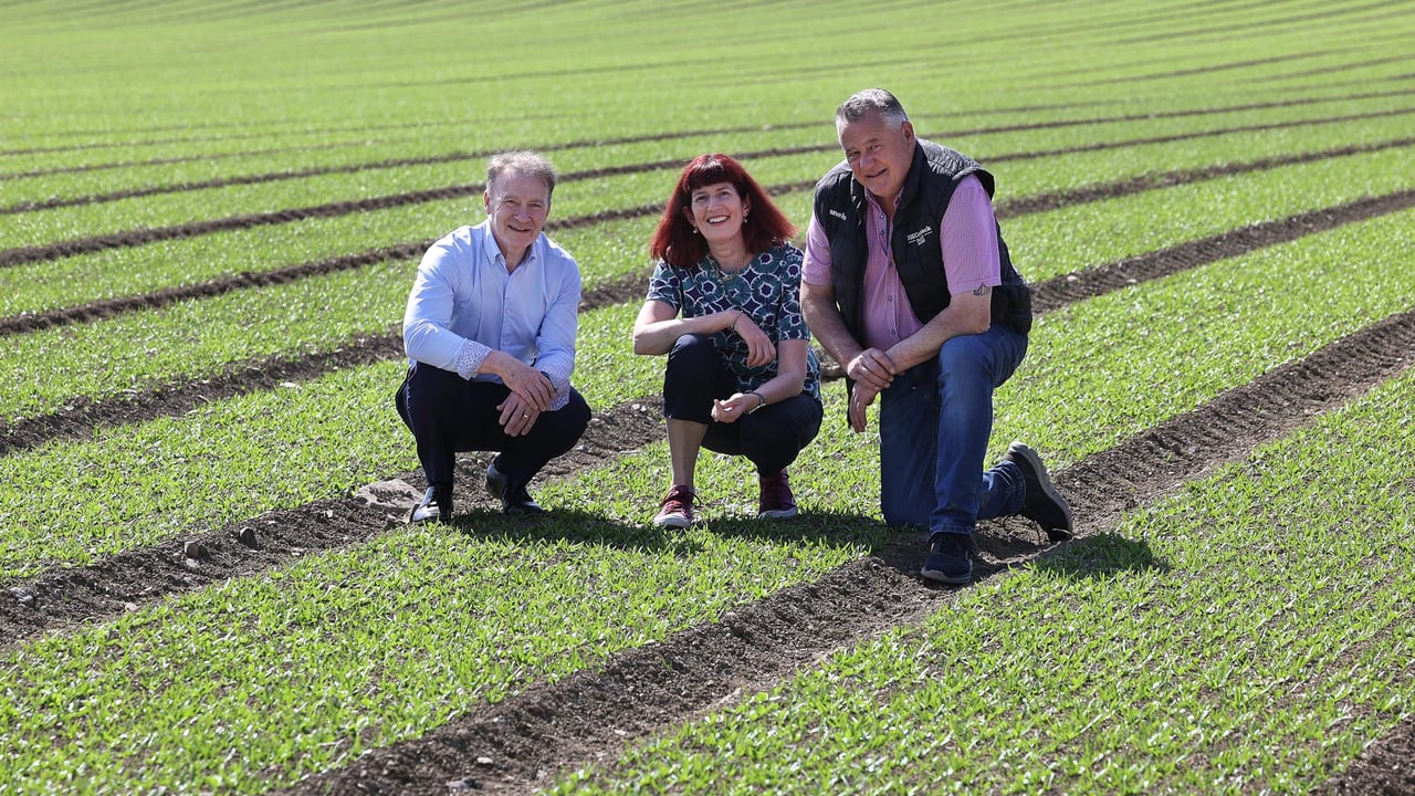L-r: Conor Kilduff, Love Irish Food; Stephen McCormack, managing director, McCormack Family Farms; Lucy Ryan, Bank of Ireland. Image source: Robbie Reynolds 