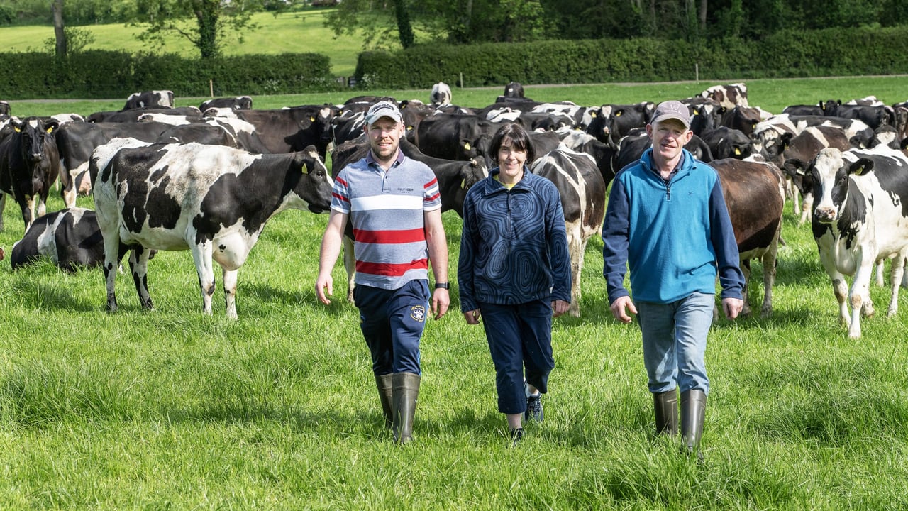 Brendan, Maria and John Walsh, Ballylooby, Cahir. Picture: O'Gorman Photography.
