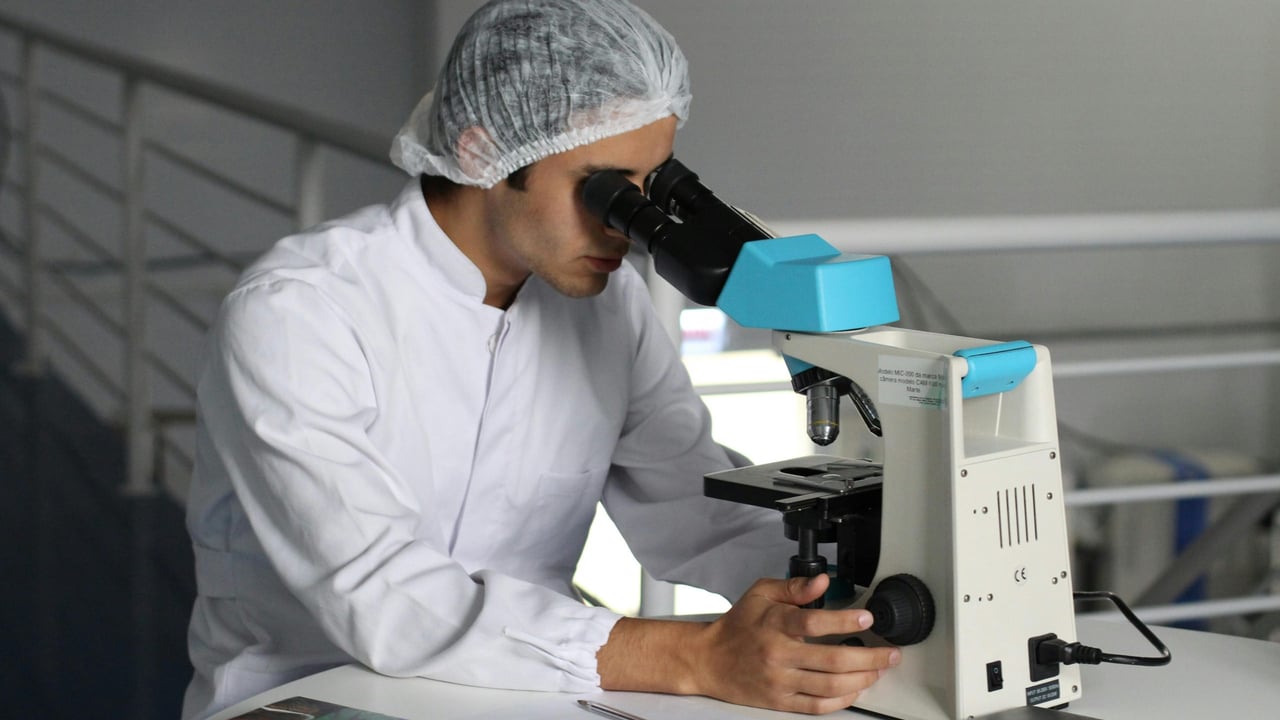 Virologists issue call to action to mitigate rising global bird flu threat
