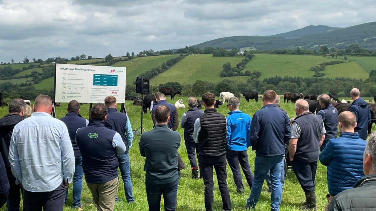 ABP Demo Farm reports 32% lower emissions while producing 'heavier cattle'
