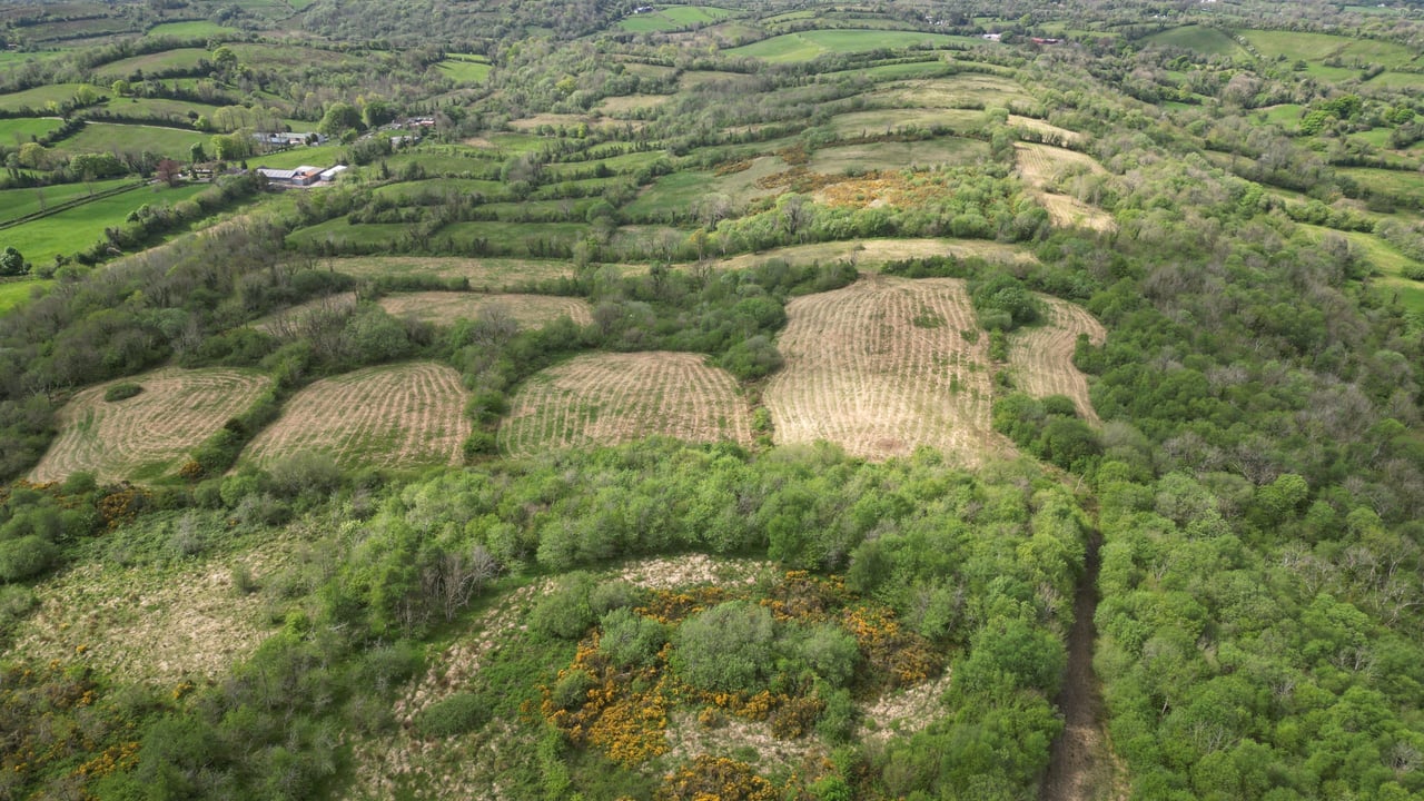 Fedian’s rich mosaic of habitats - meadows, hedgerows and ancient woodland 