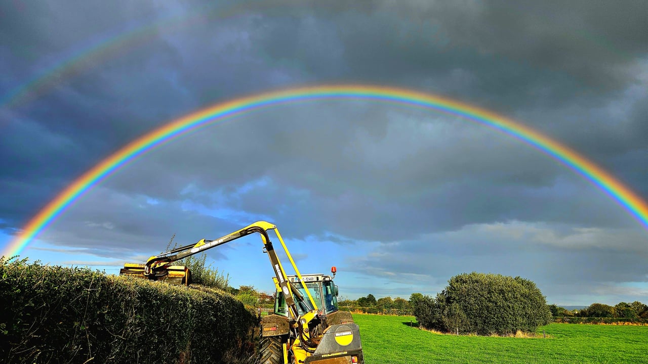 Competitor from Hedgerows Ireland photo competition. Source:  Hedgerow Ireland/Tony and Noelle Mullins