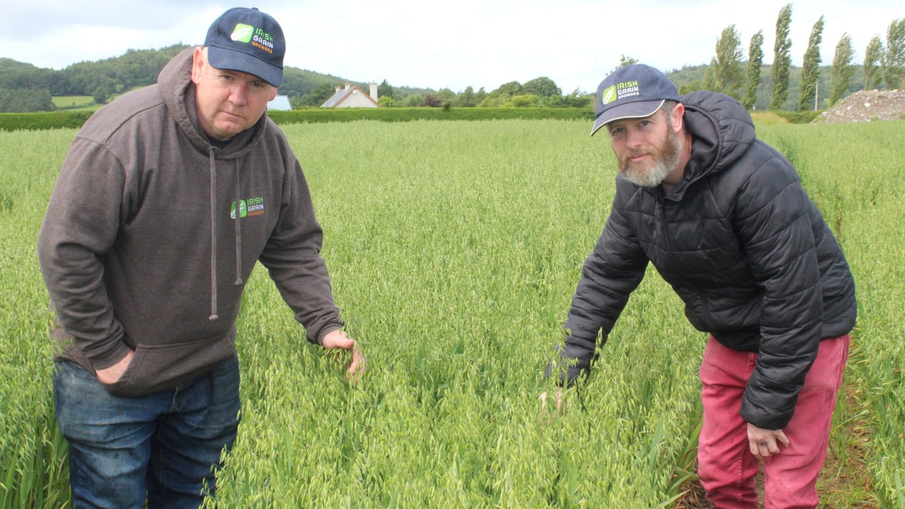 Irish Grain Growers' Group co-secretaries, Bobby Miller and Clive Carter (right) 