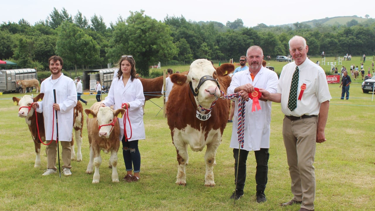 The Beef Inter-Breed Champion at Saintfield Show 2025 with calves at foot