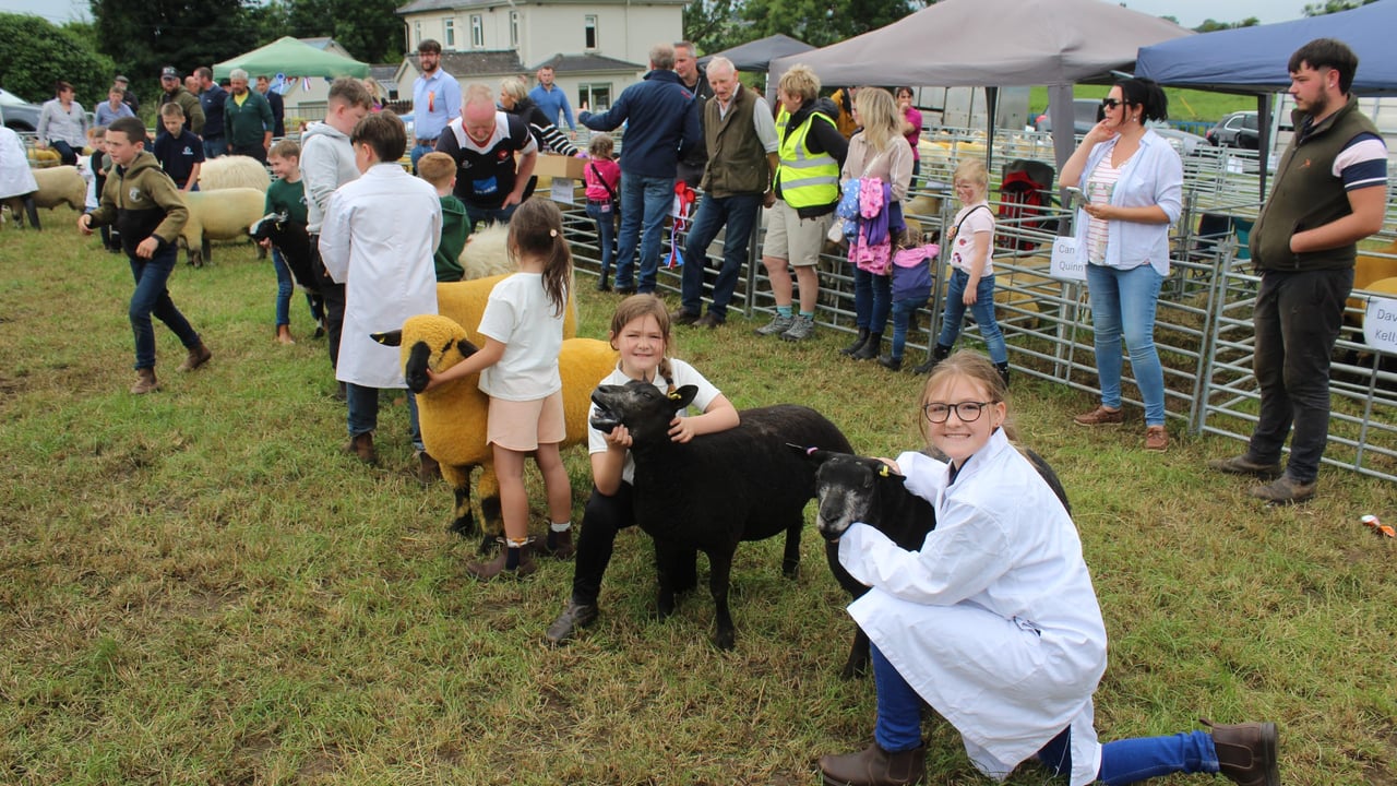 Elite Simmental cow takes Newry Show 2025 beef inter-breed championship