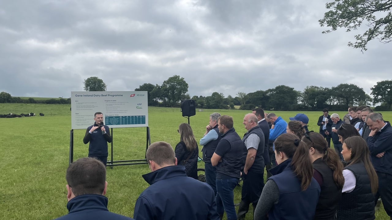 Watch: ABP marks 10 years of research at demo farm