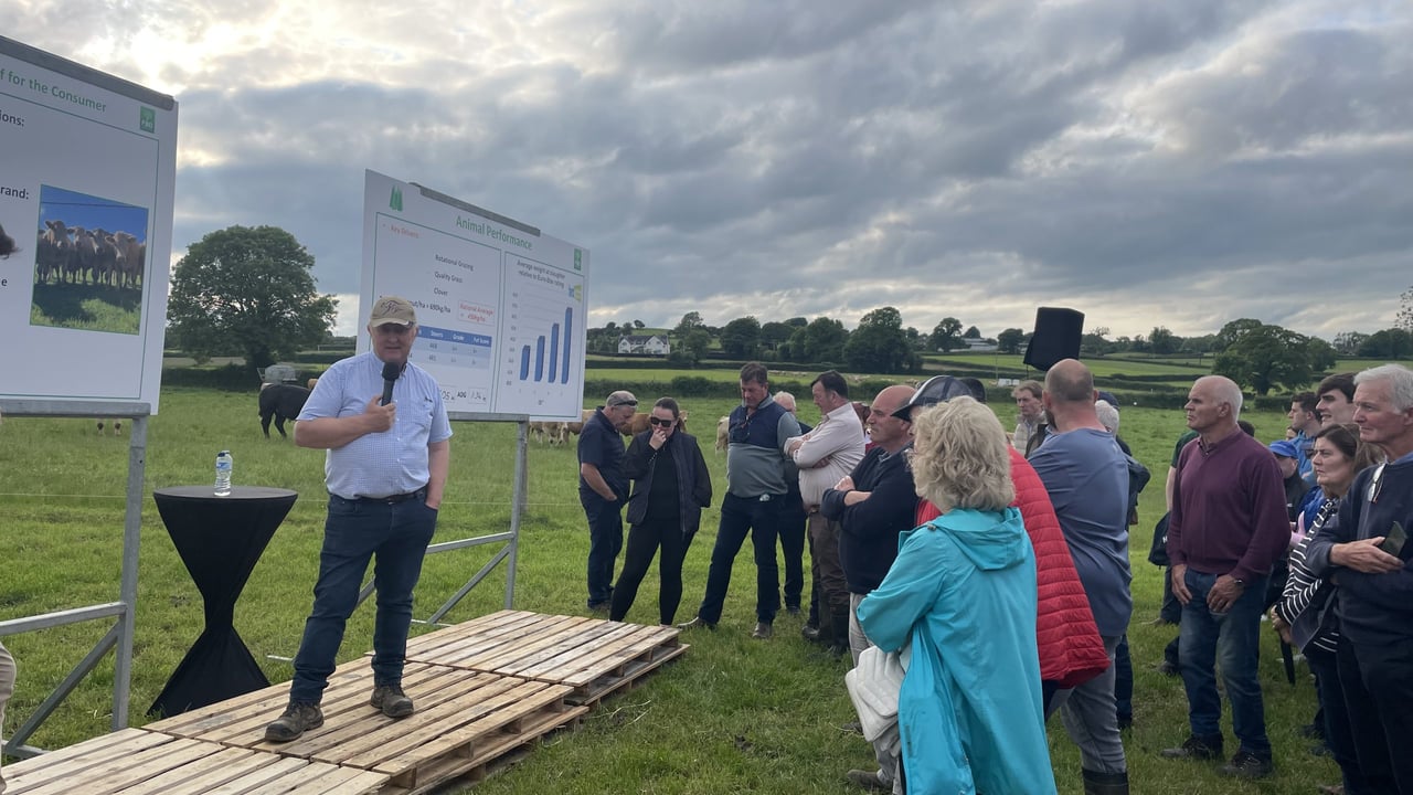 Tim Meagher explaining why he goes to the west of Ireland to buy cattle for his beef production system